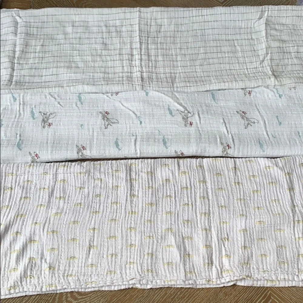 ADEN & ANAIS Etc. Blanket Bib Swedish Baby Bundle